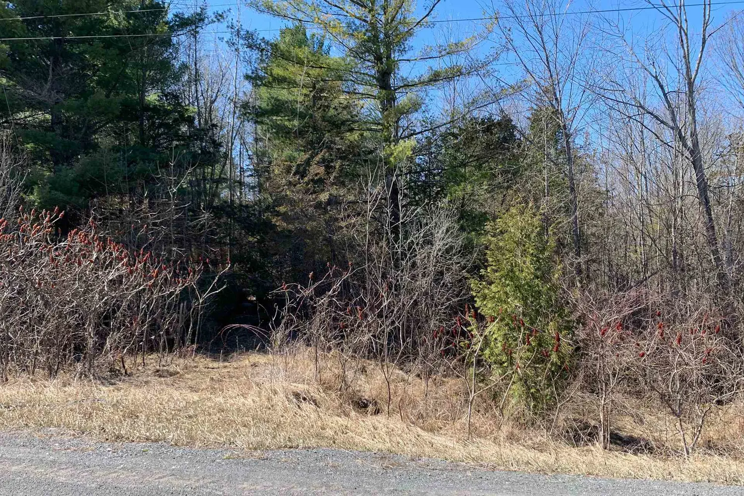 Additional image 7 of 00 Con11 Pine Grove Road