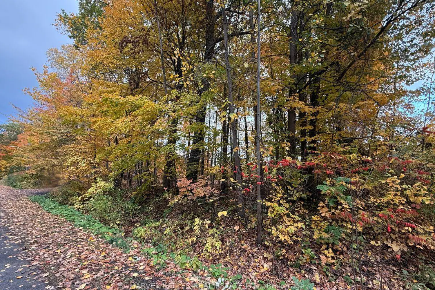 Additional image 5 of 0 Oakwood Lane