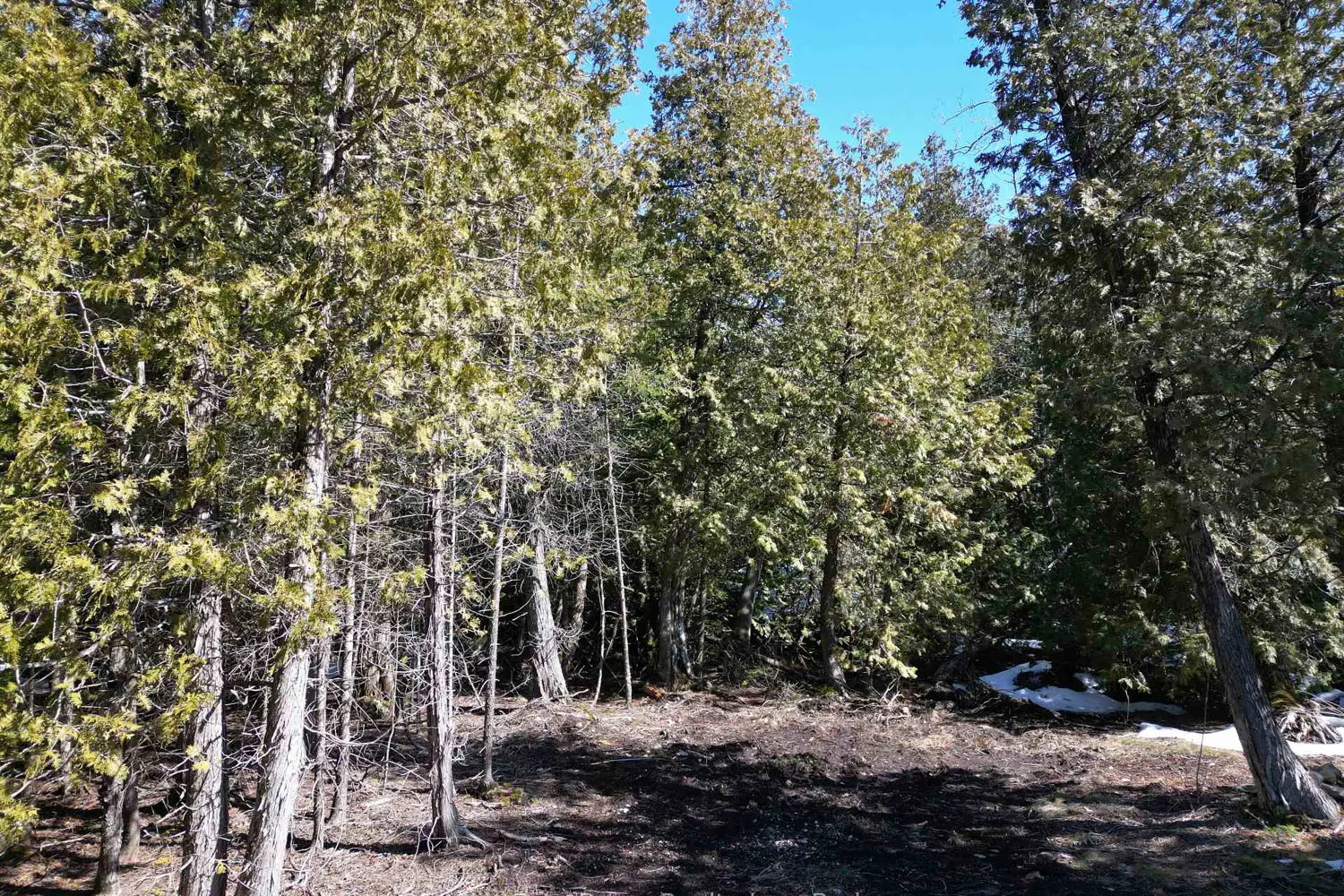 Additional image 7 of 31 Baise Avenue