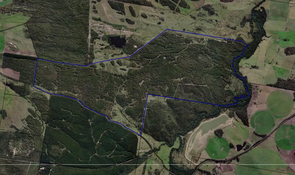 Additional image 6 of 'Hall' Saltwood Road, Bridport TAS 7262