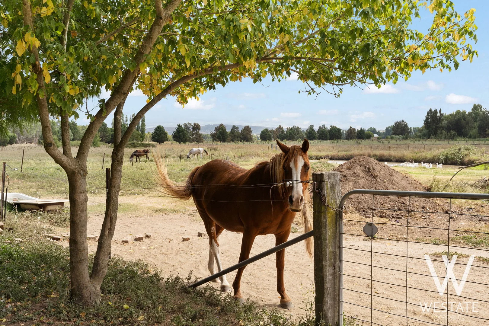Additional image 44 of 13a Macquarie Street, West Bathurst NSW 2795