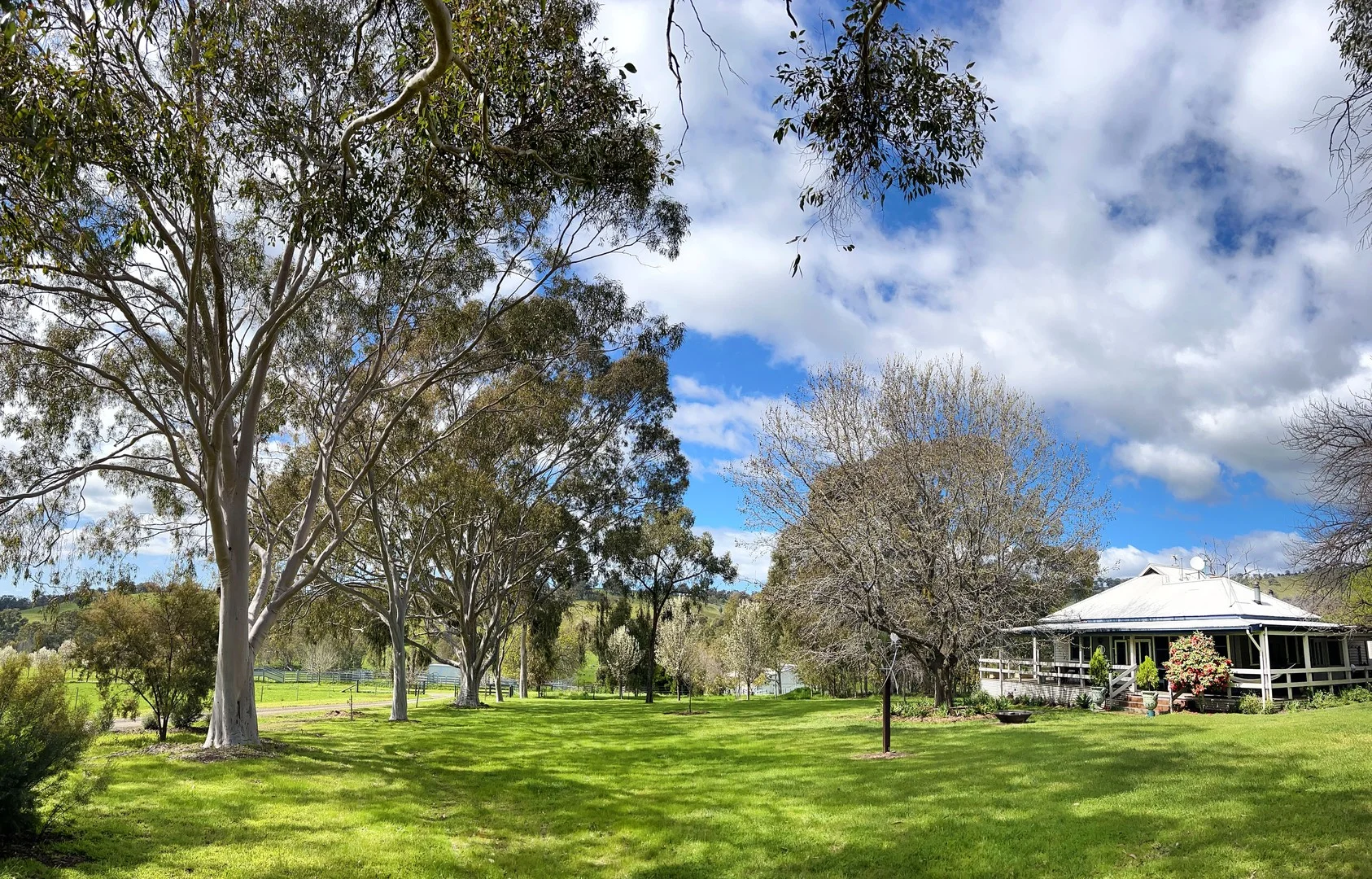 252 Welshs Road, Baddaginnie VIC 3670