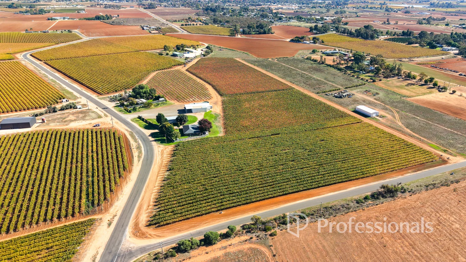 Additional image 6 of 225 Stewart Road, Red Cliffs VIC 3496