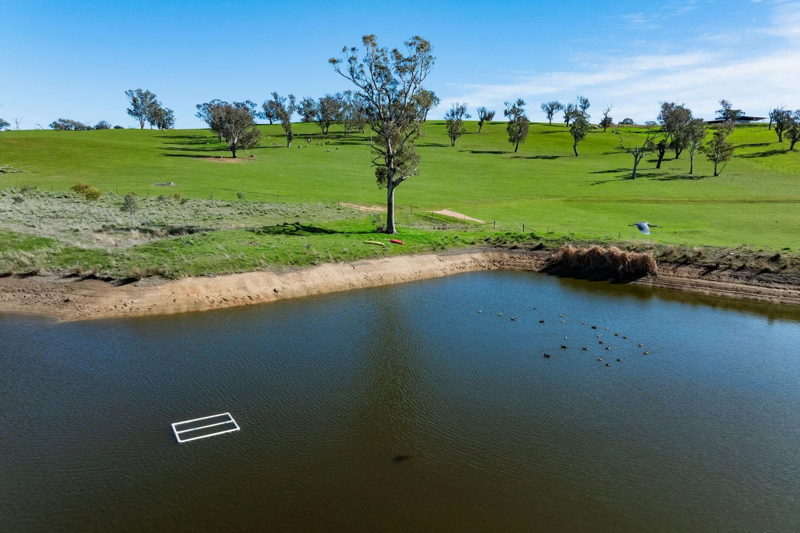 Additional image 10 of 670 Leahy Road, Wagga Wagga NSW 2650