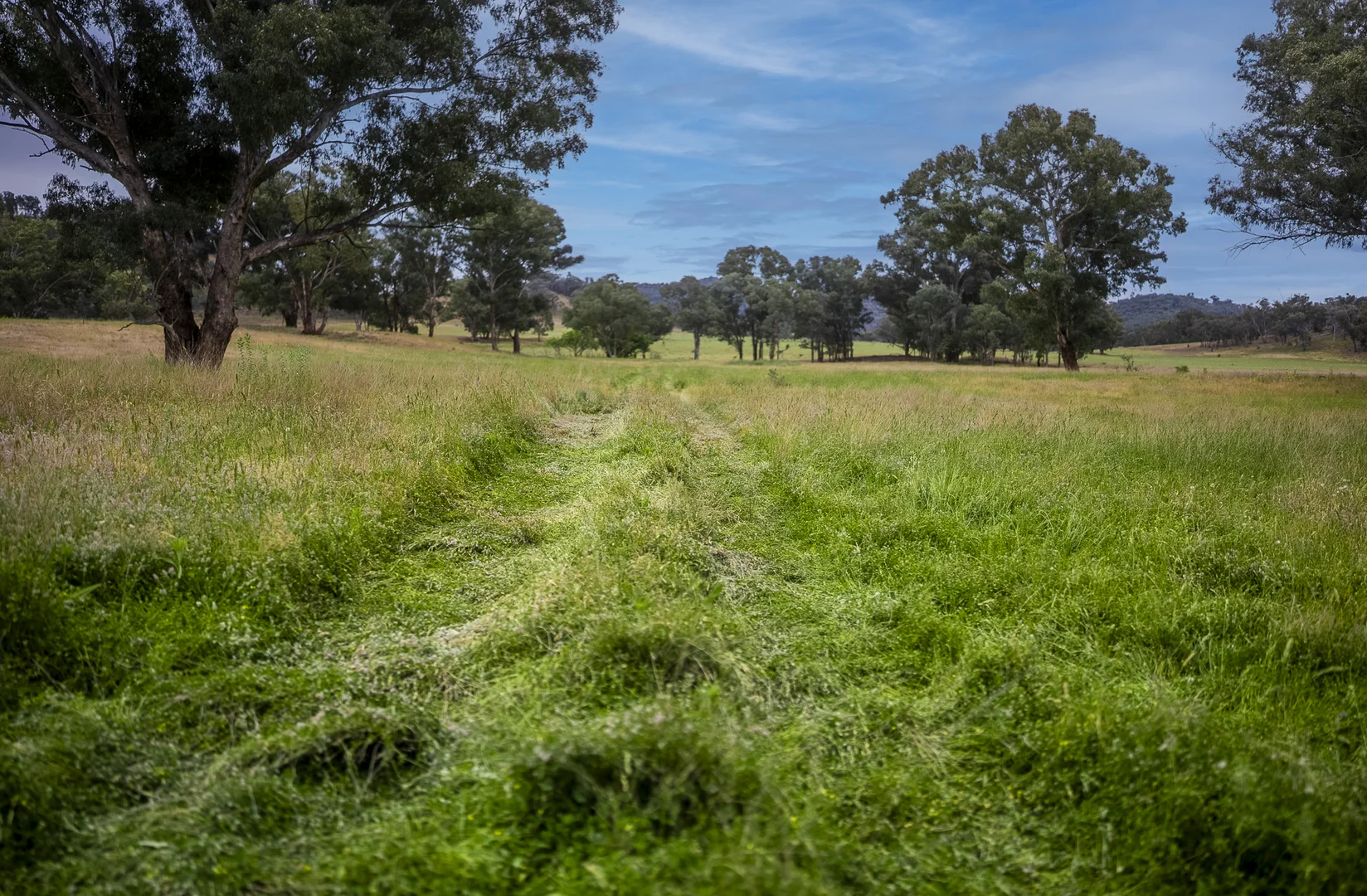 Additional image 8 of The Spring 561 Mountain Valley Road, Neurea NSW 2820