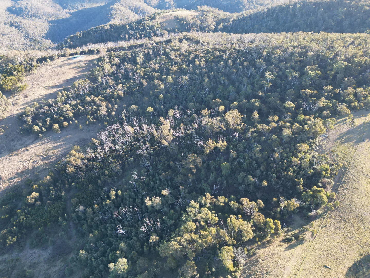 Additional image 17 of 35 Mares Forest Road, Wombeyan Caves NSW 2580