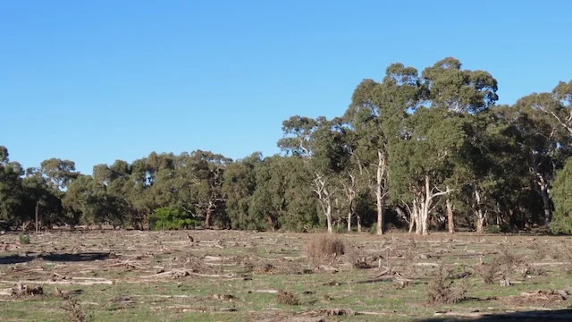 225 Coles-Killanoola Road, Coles SA 5272