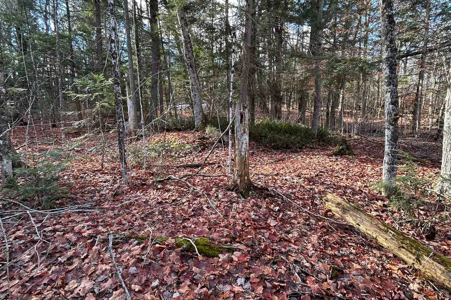 Additional image 3 of 0 Mill Lake Road