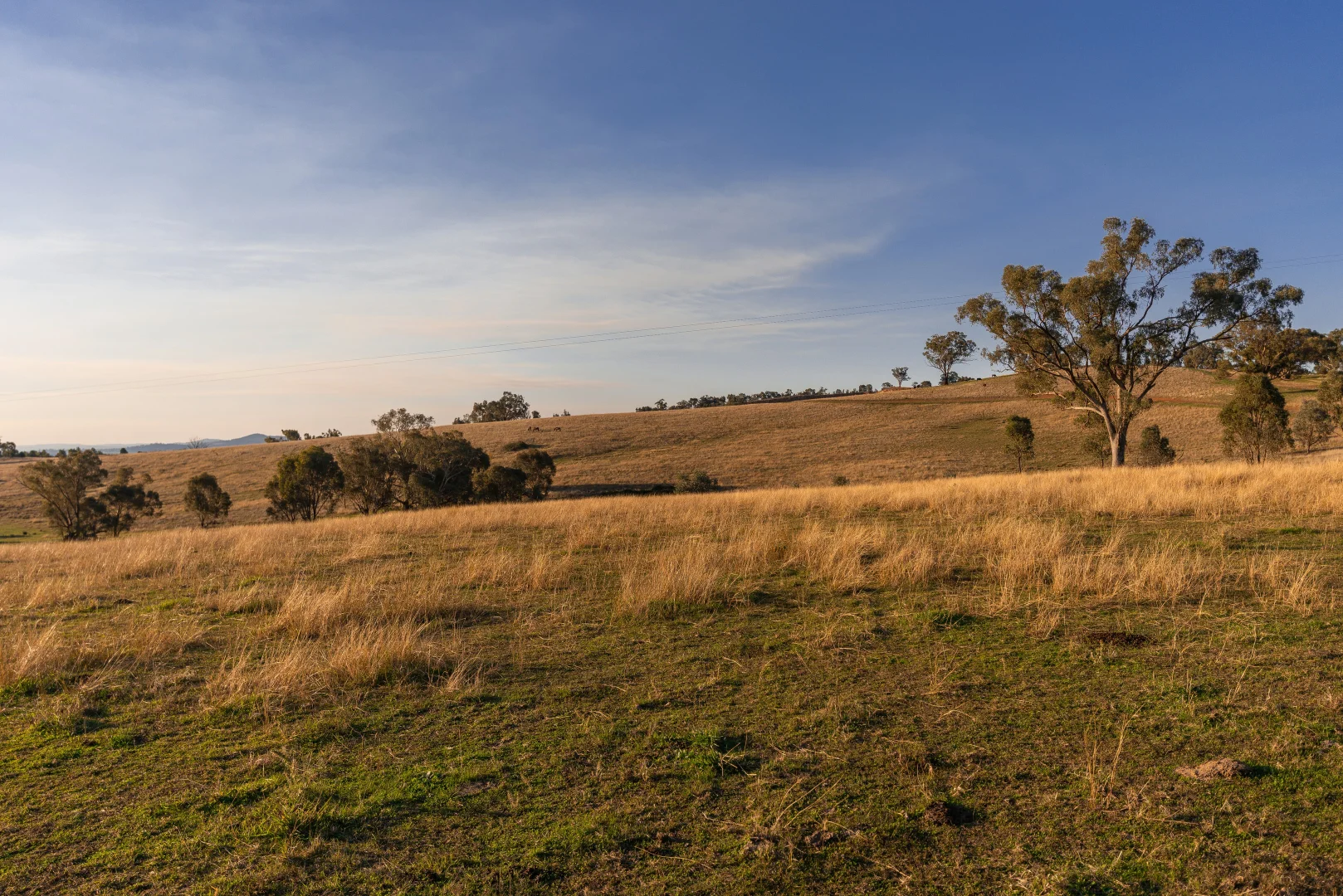 Additional image 4 of Lot 4 Wynyard Hill, Springvale NSW 2650