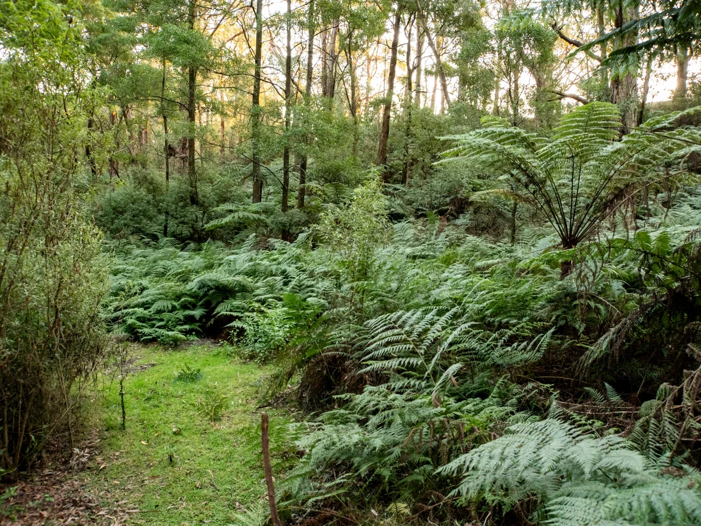 Additional image 37 of 2160 Meeniyan -Promontory Rd, Fish Creek VIC 3959