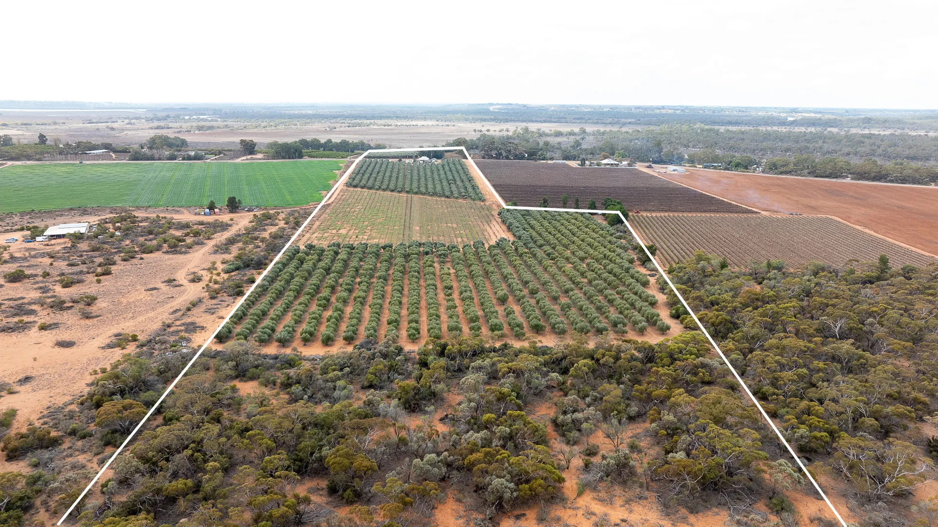 Additional image 8 of 334 Katarapko Crescent, Winkie SA 5343