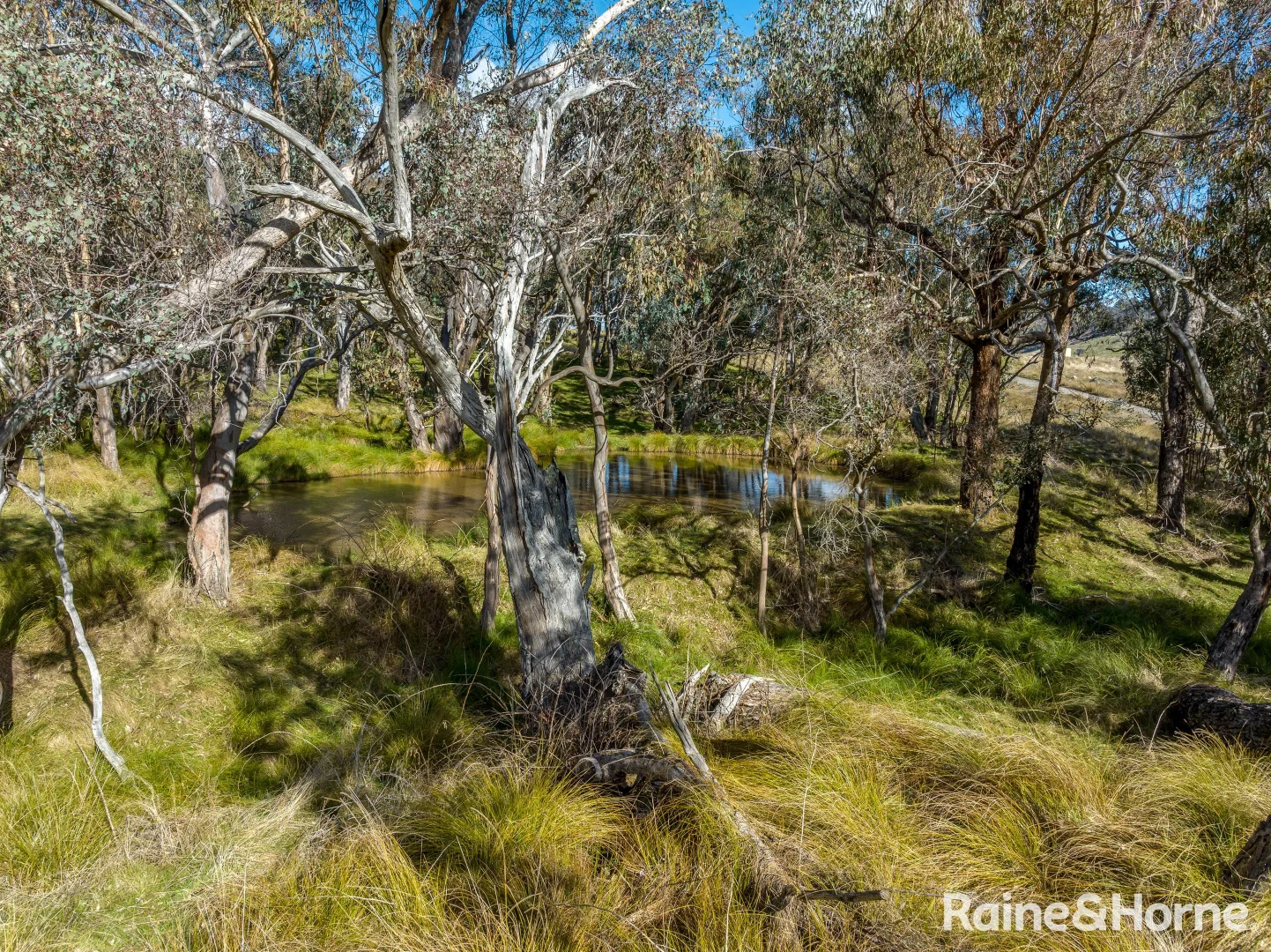 Additional image 7 of 2306 Bigga Road, Bigga NSW 2583