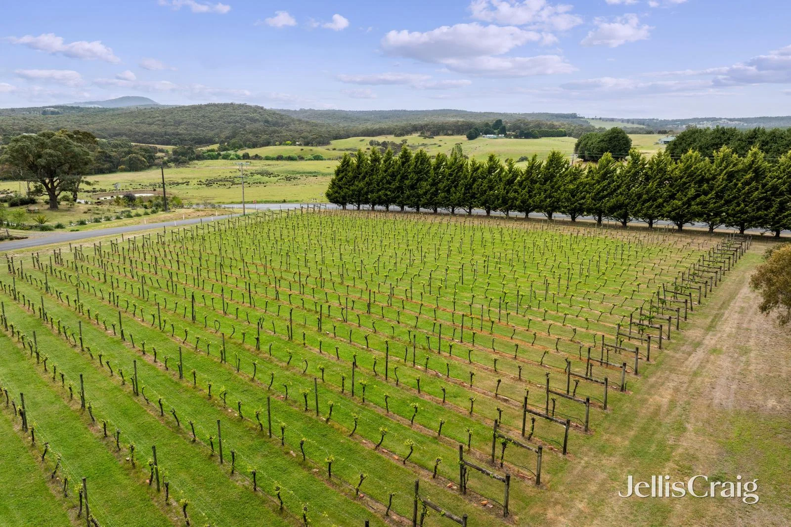 Additional image 6 of 860 Buninyong Mt Mercer Road, Garibaldi VIC 3352