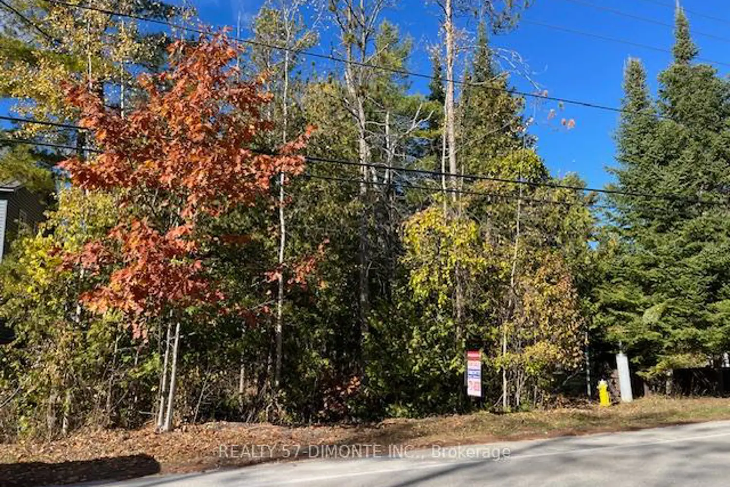 Additional image 3 of 00000 River Road