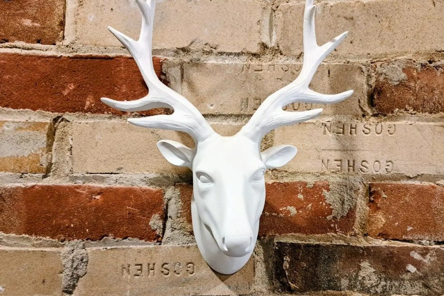 Additional image 8 of 658 Brown Street