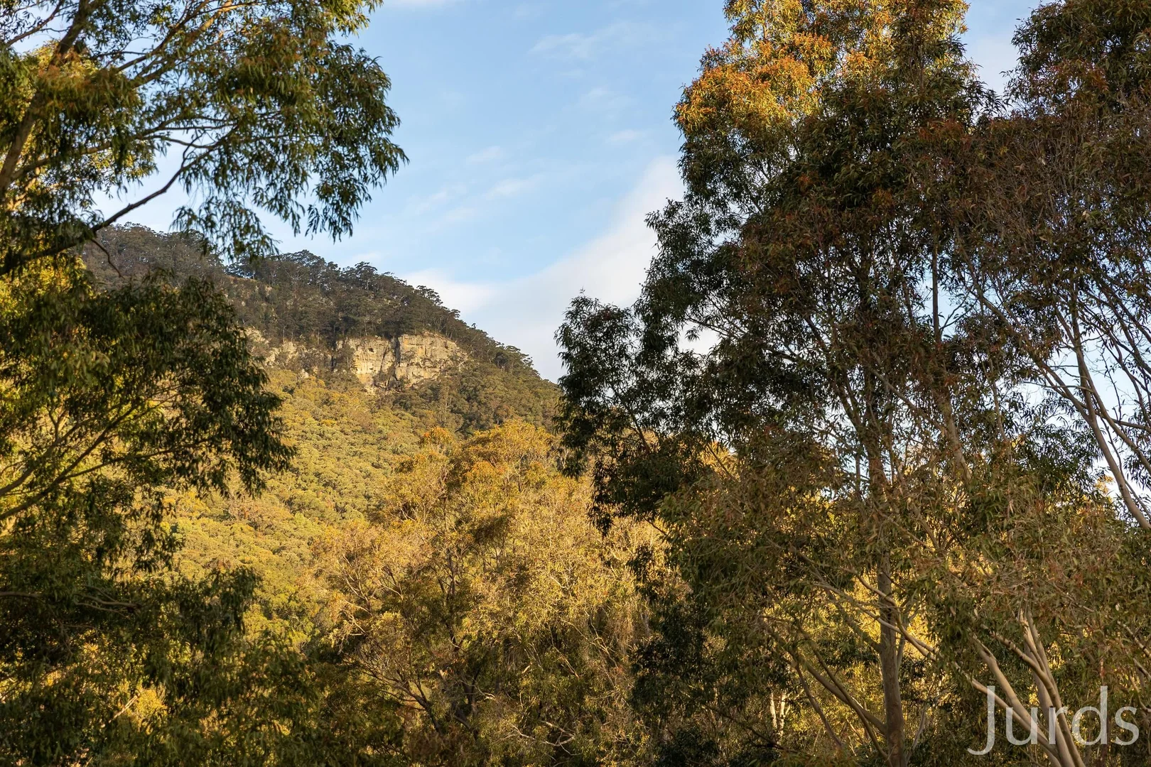 Additional image 38 of 131 Rodney Road, Mount Vincent NSW 2323