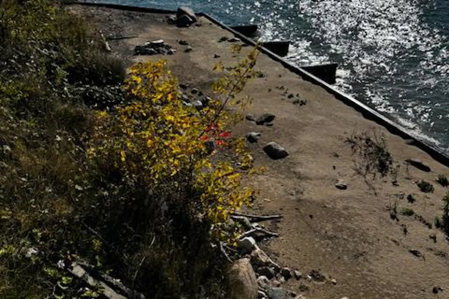 Additional image 4 of 72163 Lakeshore Drive