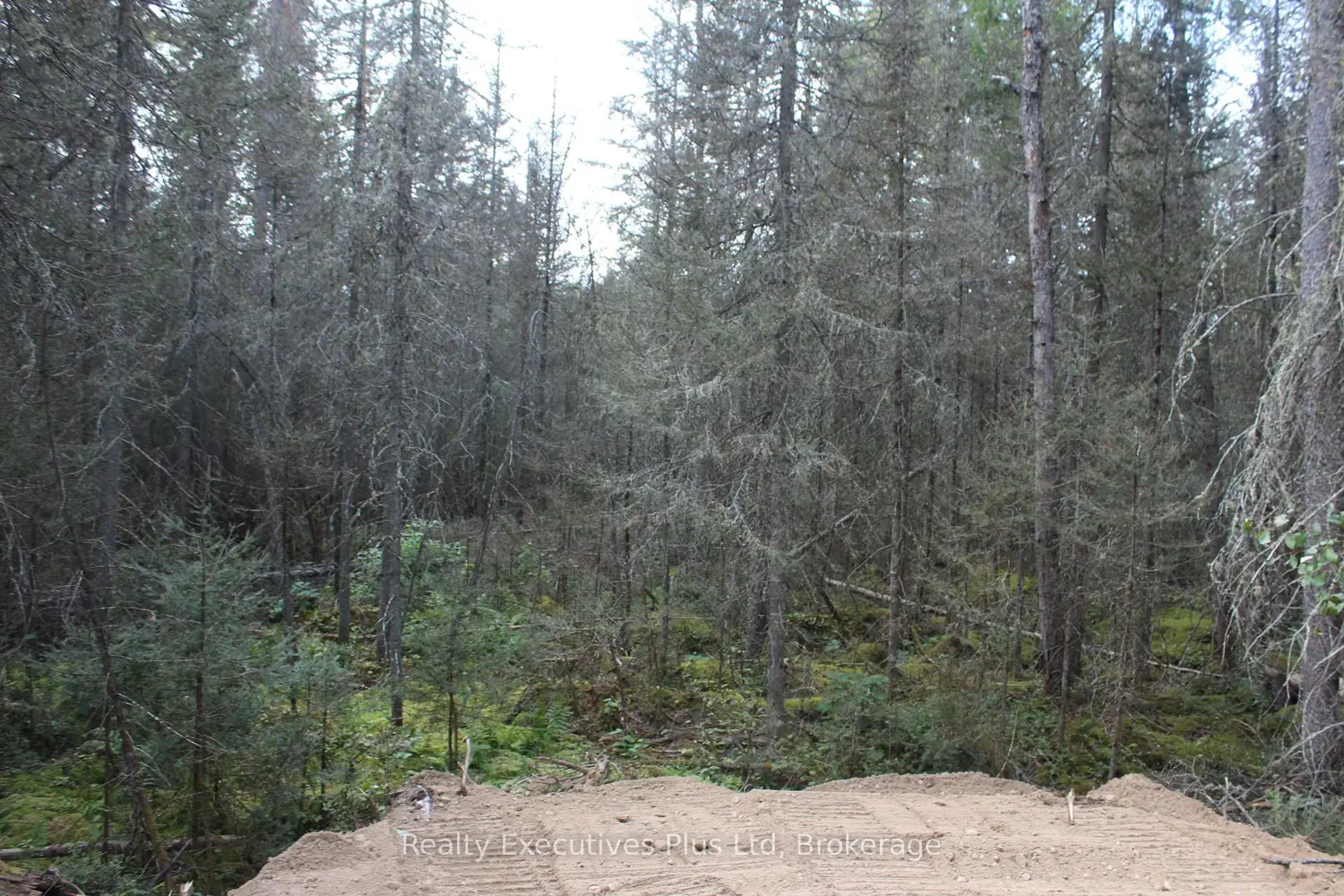 Additional image 10 of 148 Cottrell Road