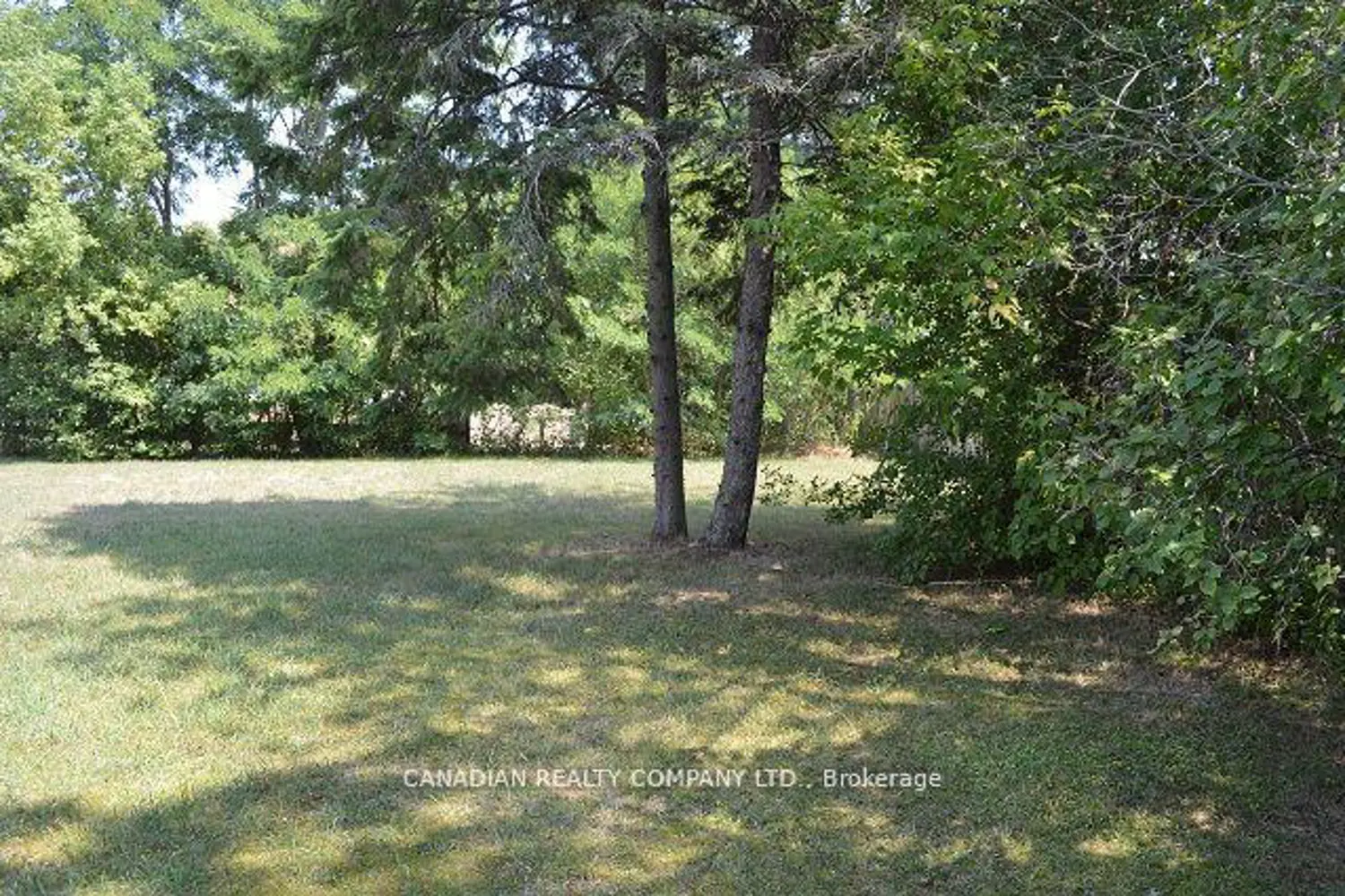 Additional image 12 of 391 Raines Street