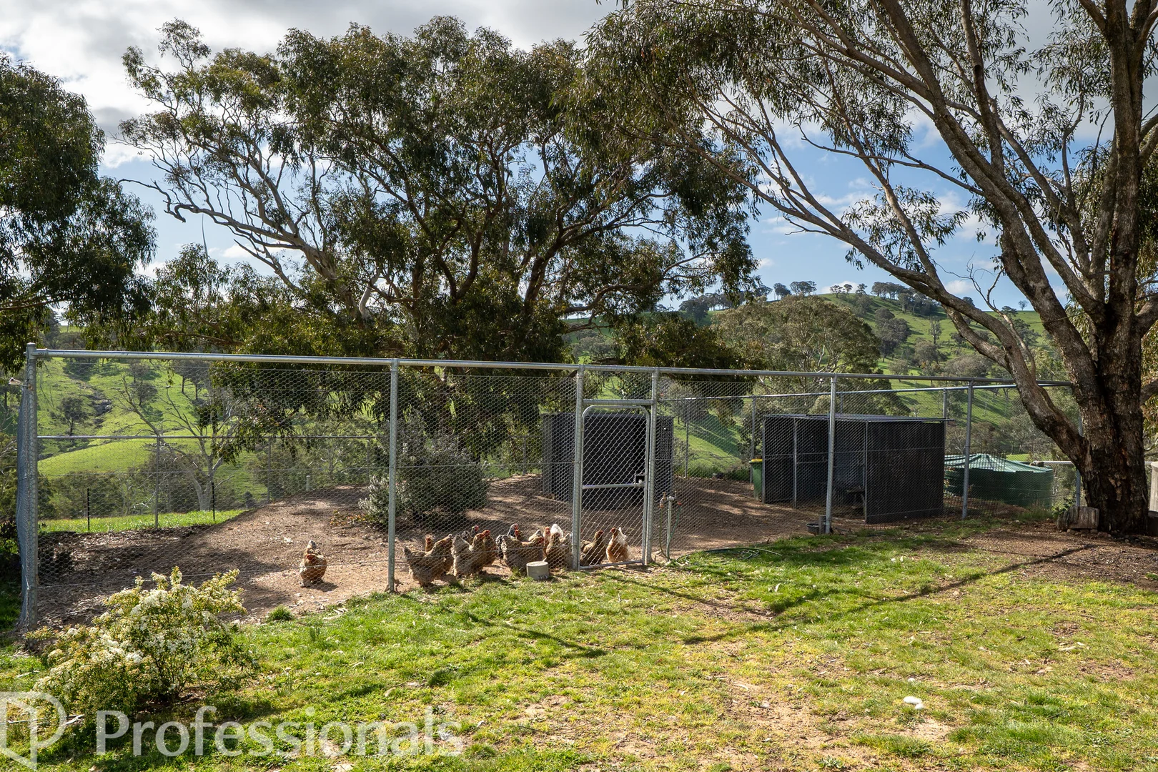 Additional image 26 of 361 Dicksons Lane, Orange NSW 2800