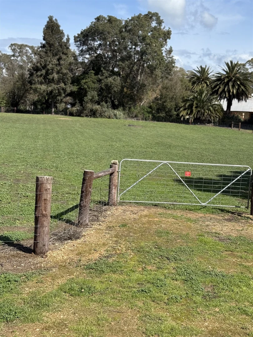 Additional image 5 of 22a Stewart Terrace, Naracoorte SA 5271