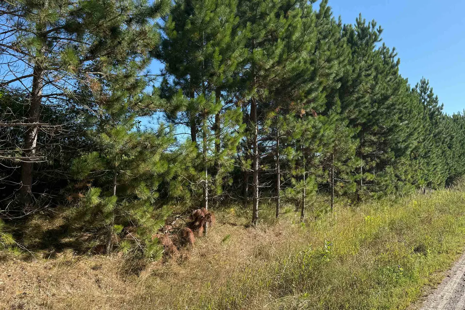 Additional image 2 of 0 Deloro Road