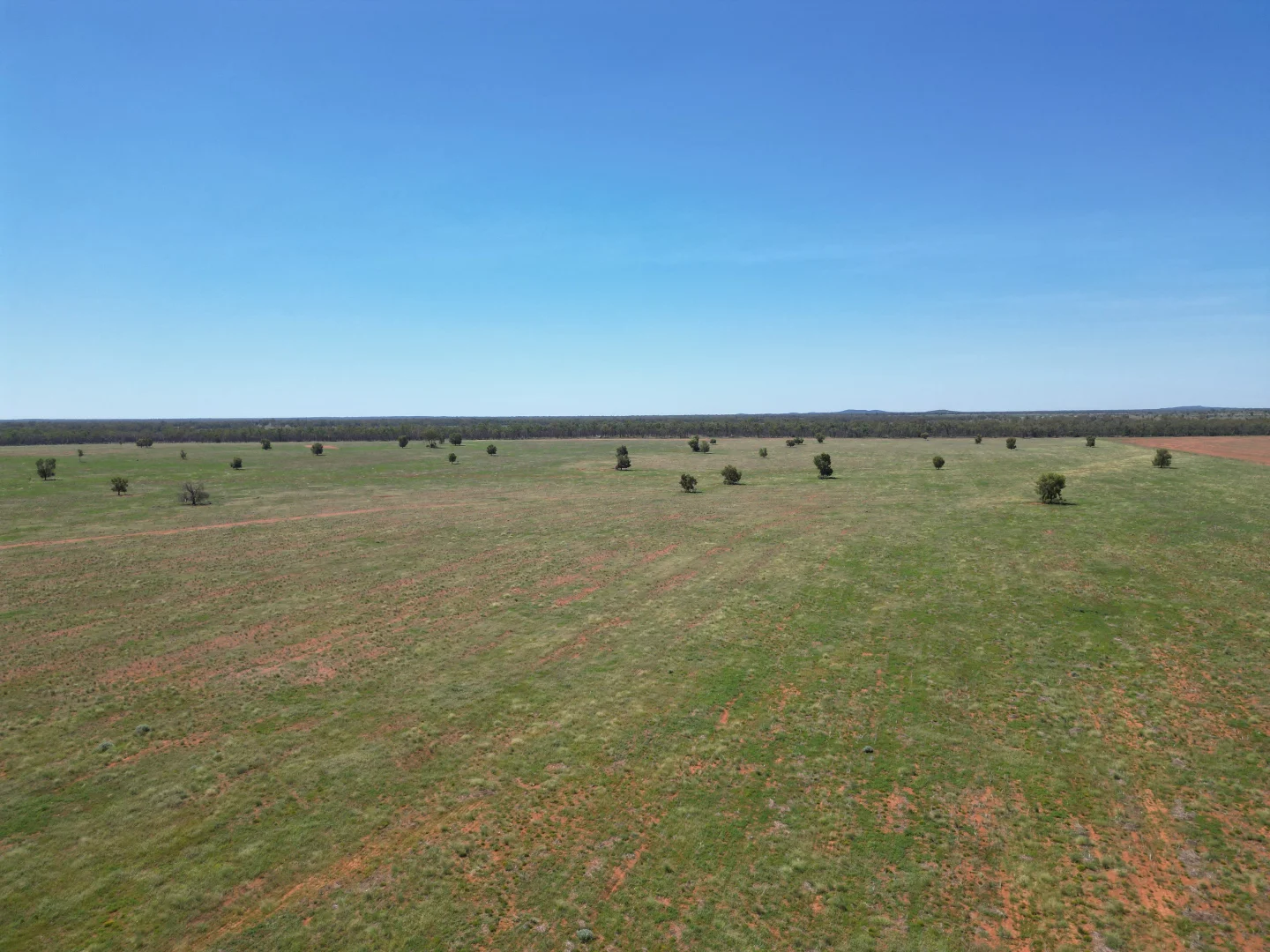 Additional image 7 of "Glendale"/4666 Mitchell Highway, Girilambone NSW 2831