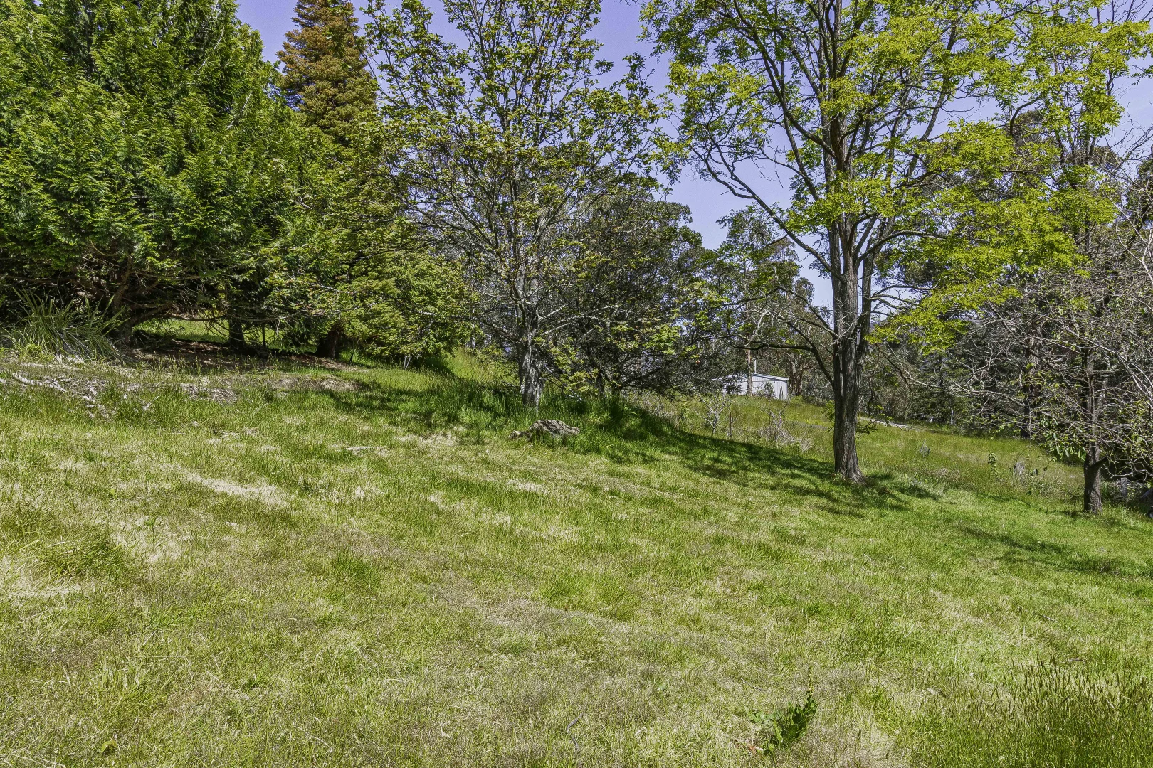 Additional image 33 of 242 Woolleys Road, Lonnavale TAS 7109