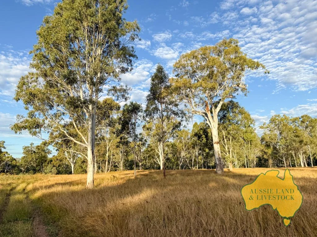 Additional image 61 of 8 SCREENING PLANT ROAD, Cynthia QLD 4627