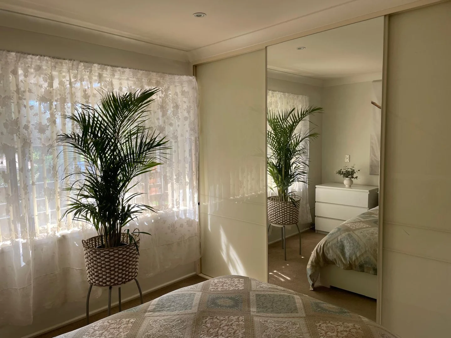 Additional image 9 of 59 Orient Street, Willow Vale NSW 2575