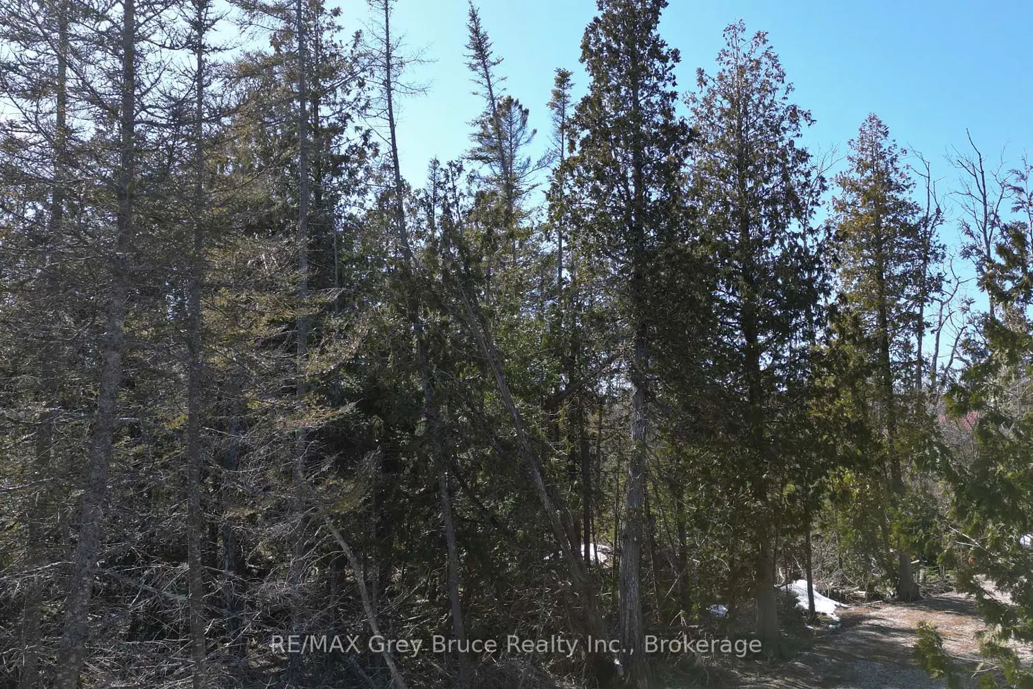 Additional image 11 of 31 Baise Avenue