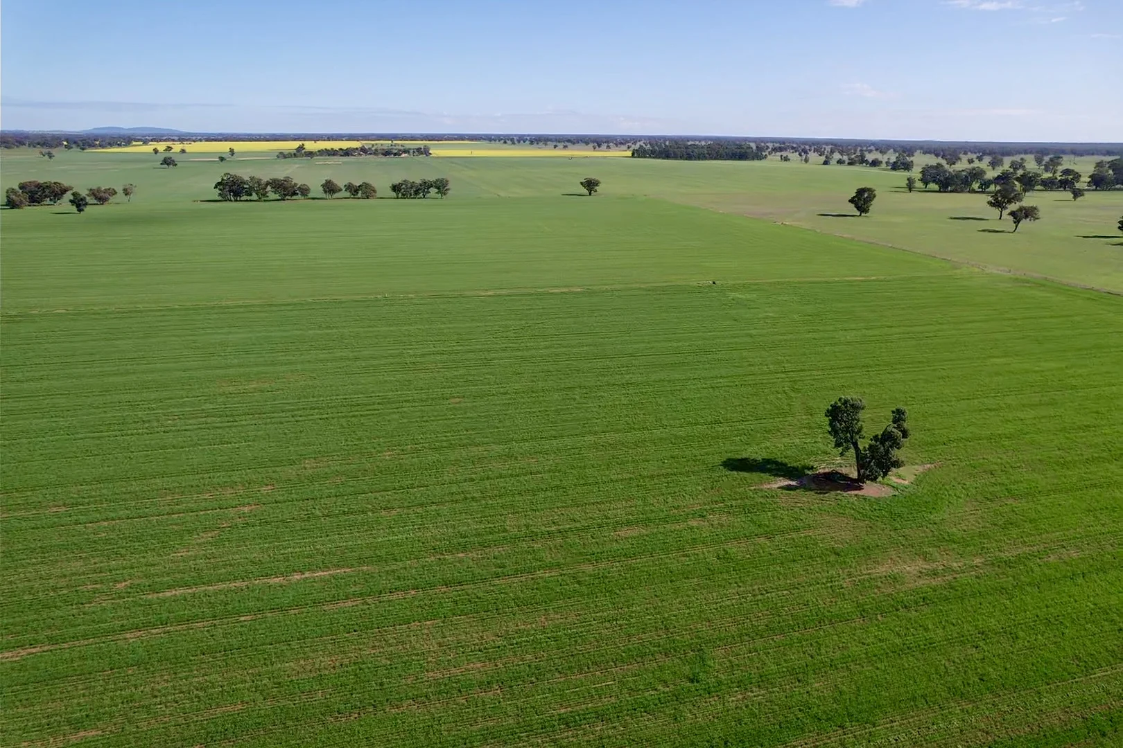 Additional image 8 of 2791 Sturt Highway, Wagga Wagga NSW 2650