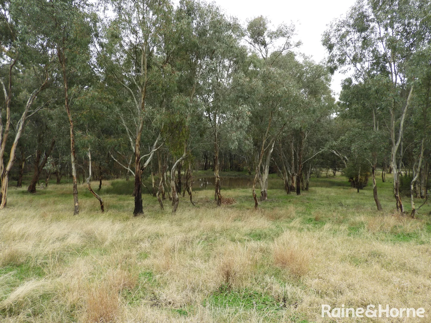 Additional image 4 of Part 4735 Olympic Highway, Young NSW 2594