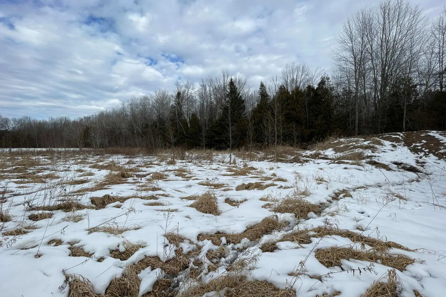 Additional image 12 of Pt Lt 7 Conc 9