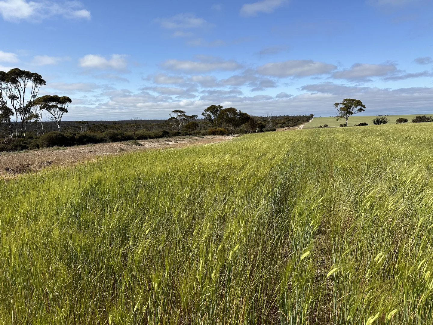 Additional image 2 of 2501 Hyden Norseman Road, Hyden WA 6359