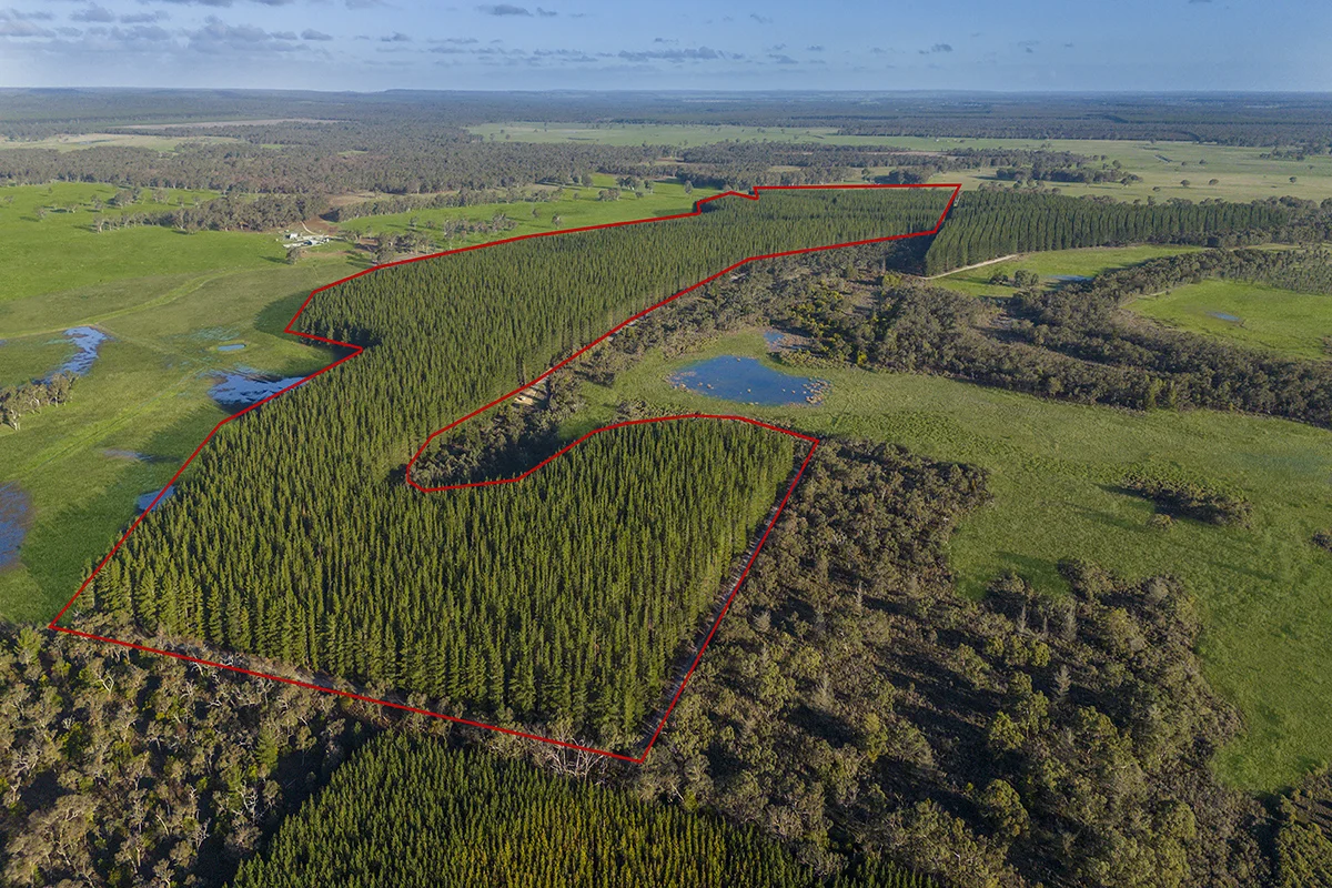 Additional image 15 of 125 Moonlight Road, Killara VIC 3312