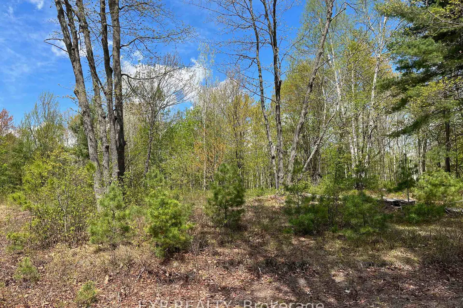 Additional image 5 of Lot 15 Sandy Shores Trail