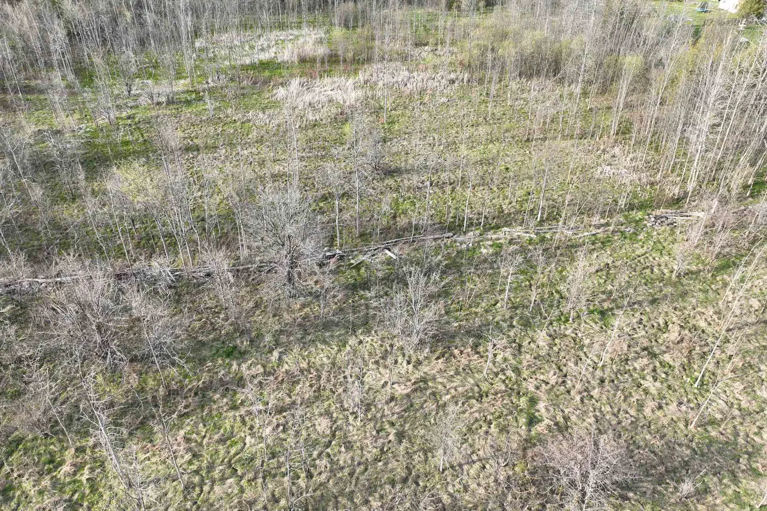 Additional image 20 of 454 Balmy Beach Road
