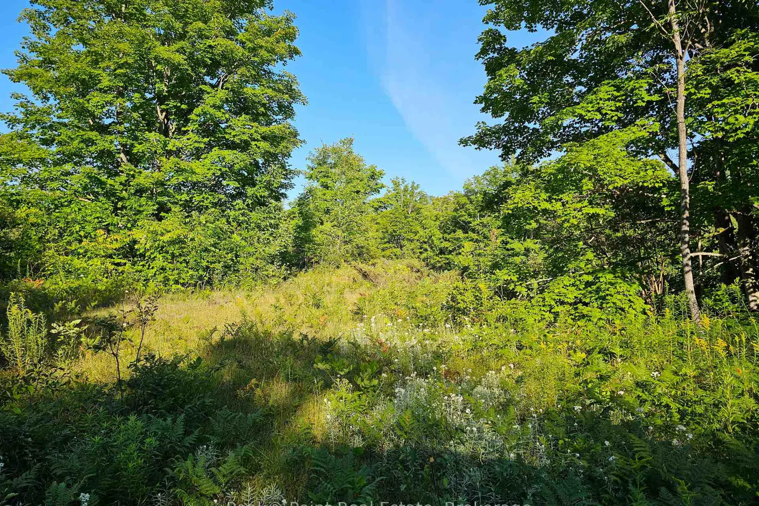 Additional image 6 of 725 Purple Valley Road