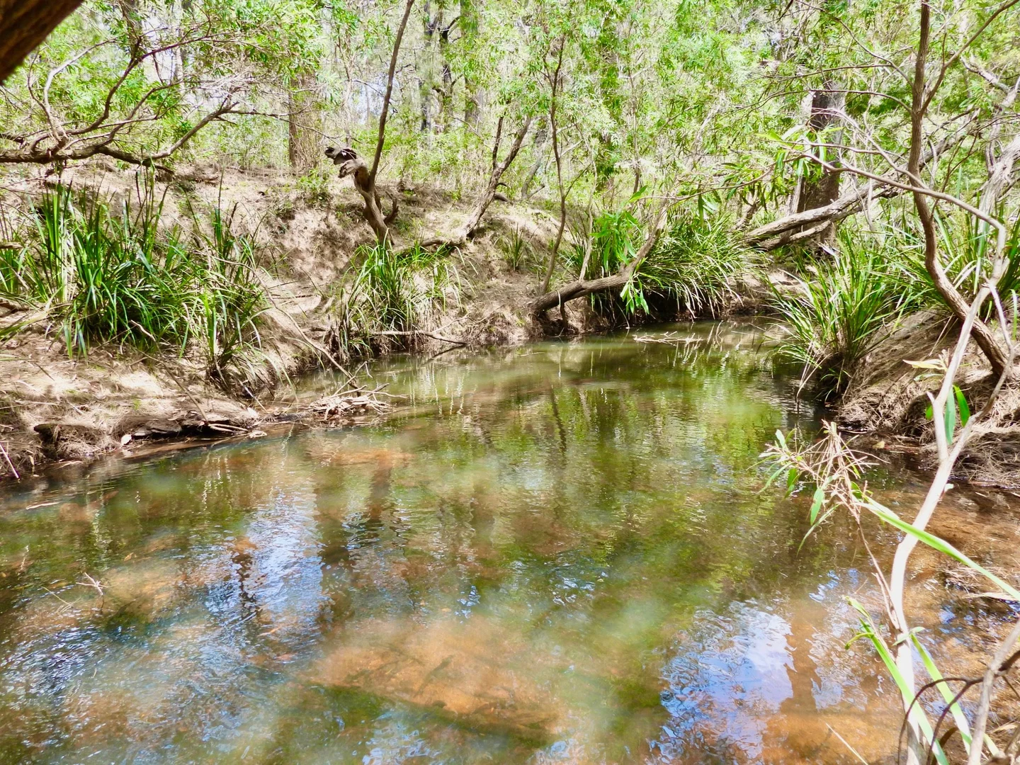 Additional image 3 of 215 Cassell Road, Kalunga QLD 4887