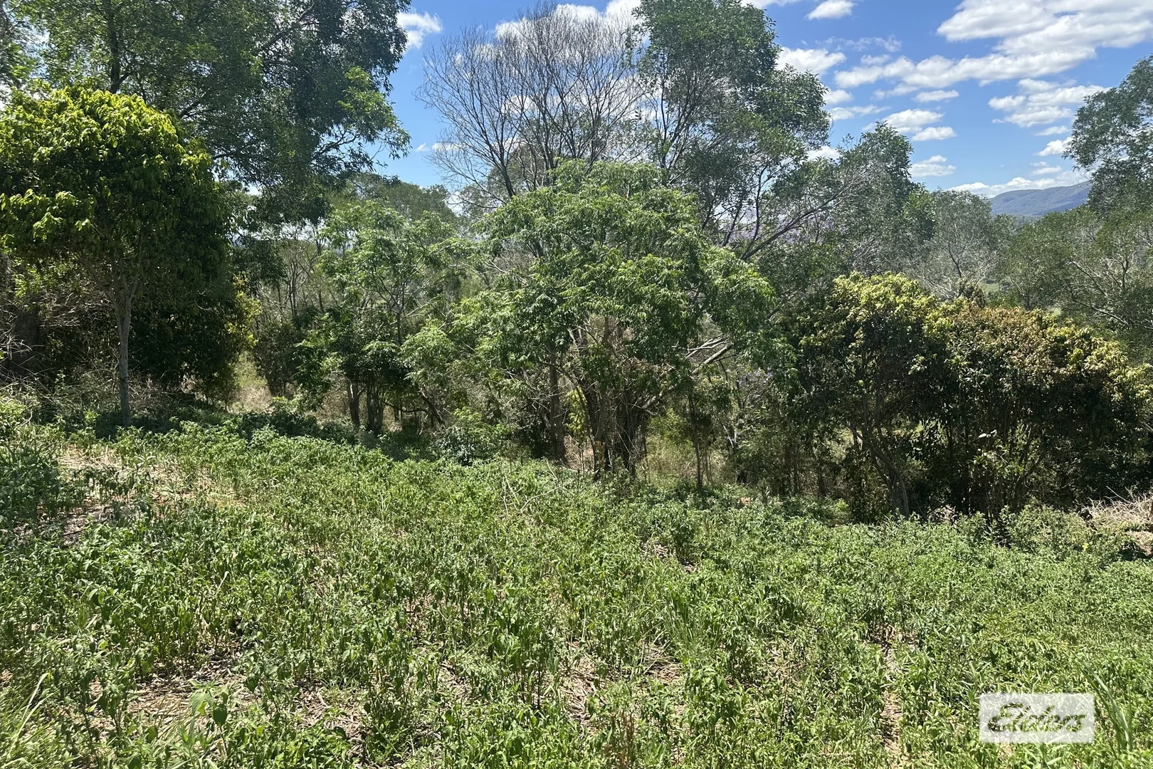 Additional image 15 of 146 Axelsen Drive, Villeneuve QLD 4514