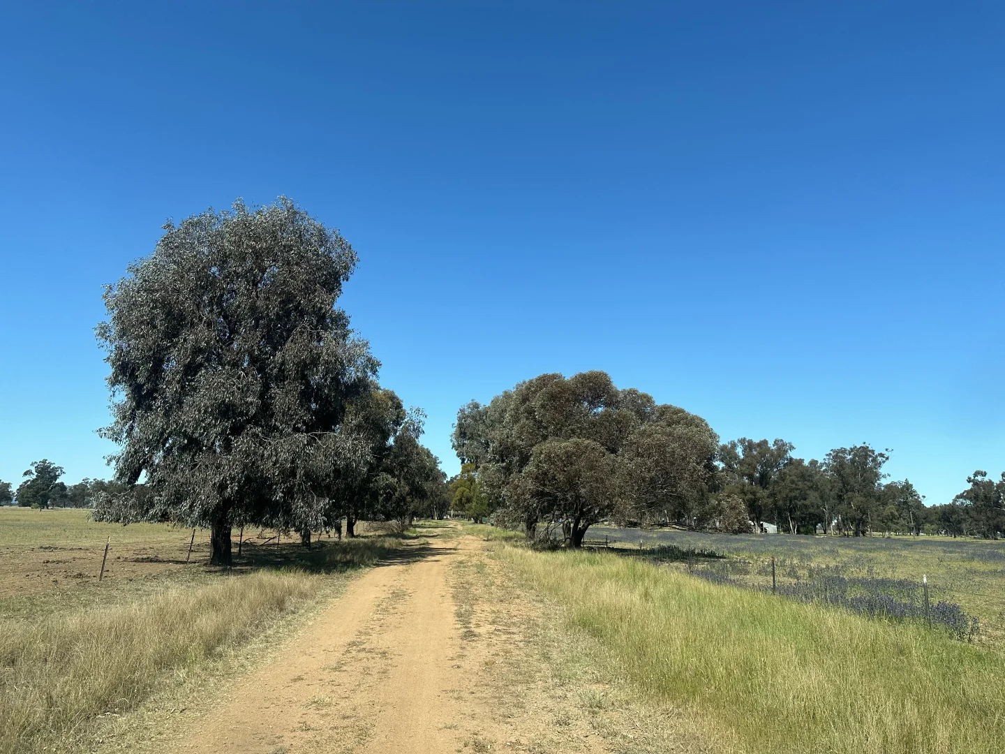 Additional image 2 of Lot 133 Troths Lane, Quandialla NSW 2721