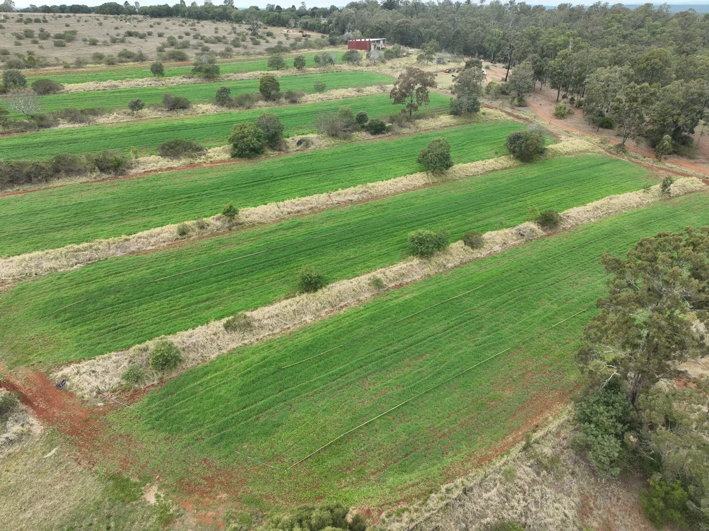 34 Bellottis Road, Oakdale QLD 4605