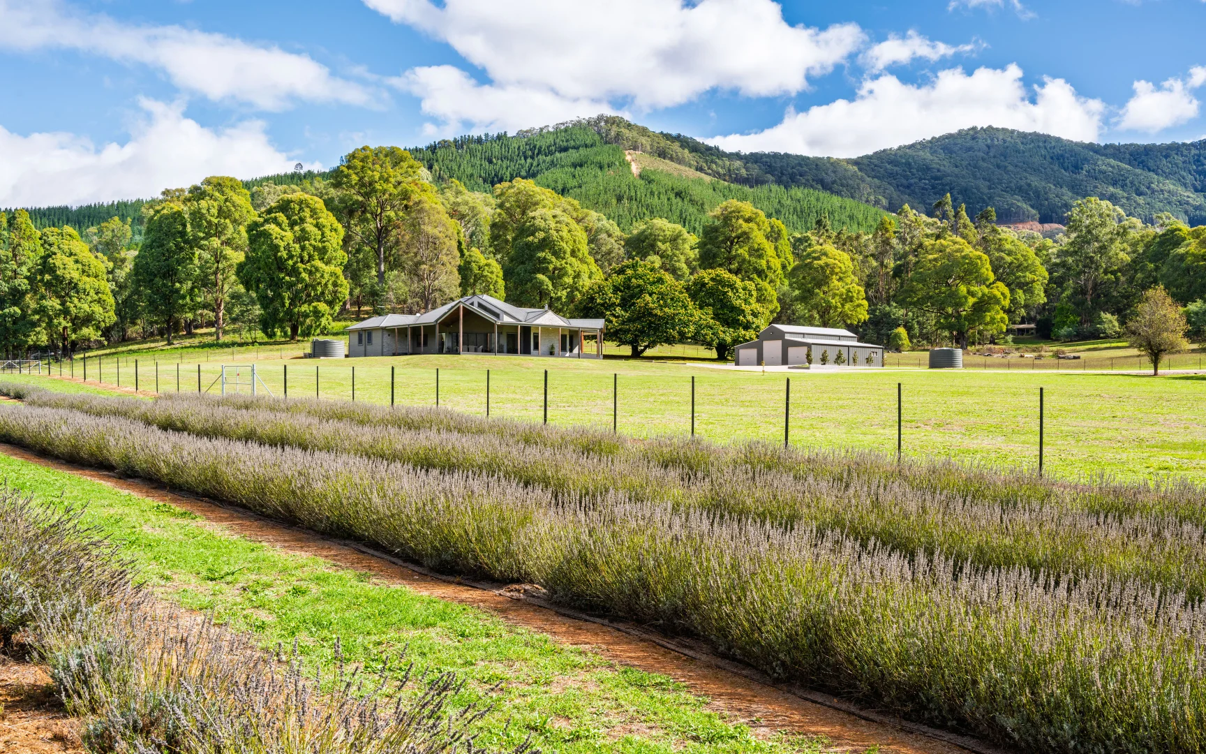 Additional image 44 of 67 Jagoes Gully Road, Wandiligong VIC 3744