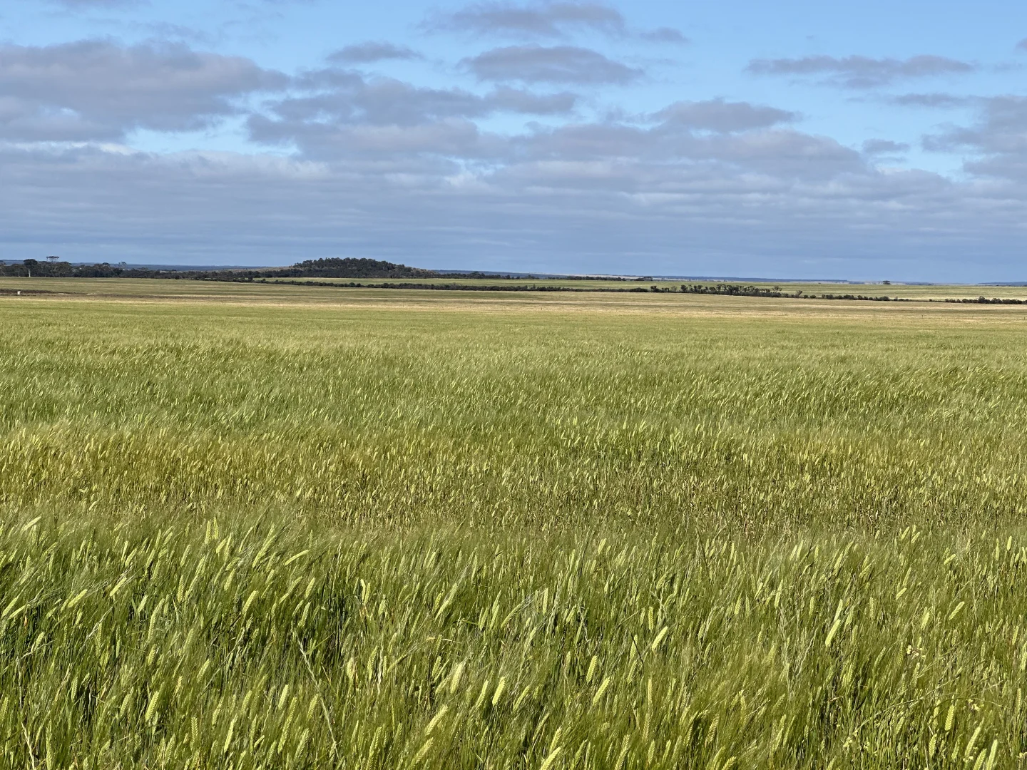 Additional image 3 of 2501 Hyden Norseman Road, Hyden WA 6359