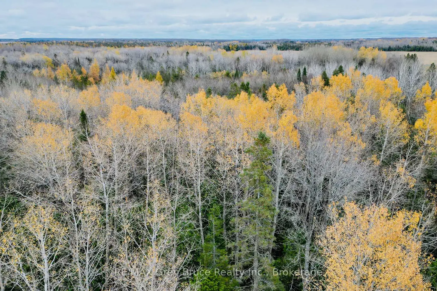 Additional image 9 of 44 Stokes Bay Road