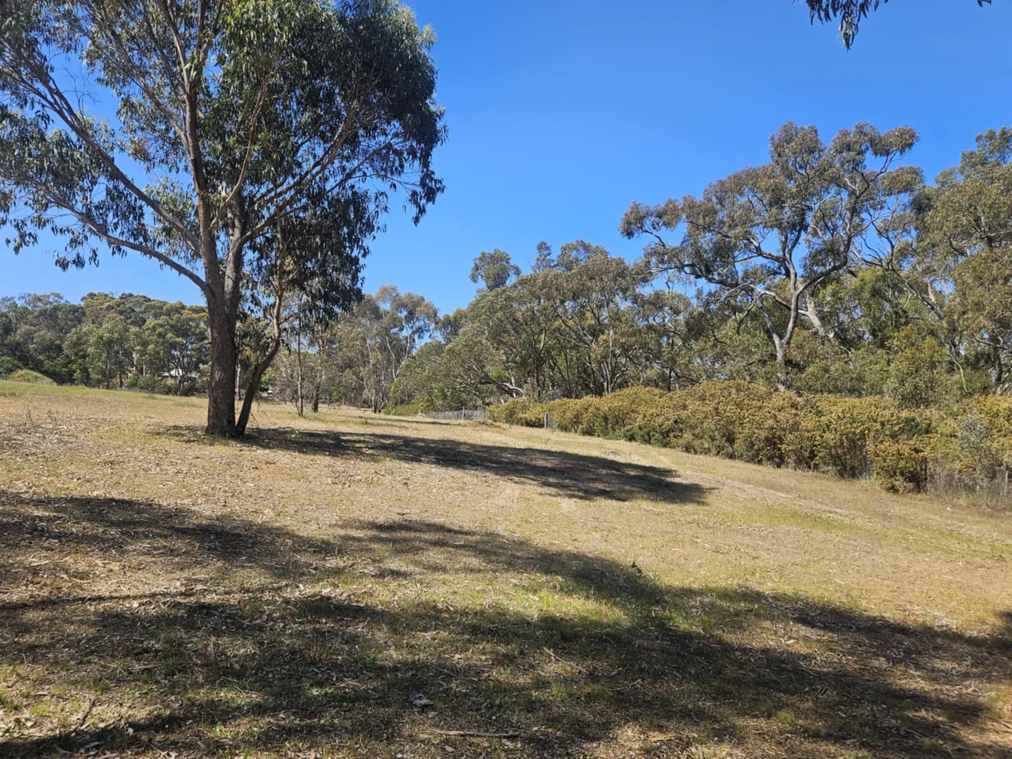 Additional image 3 of 287 Bells Reef Road, Maldon VIC 3463