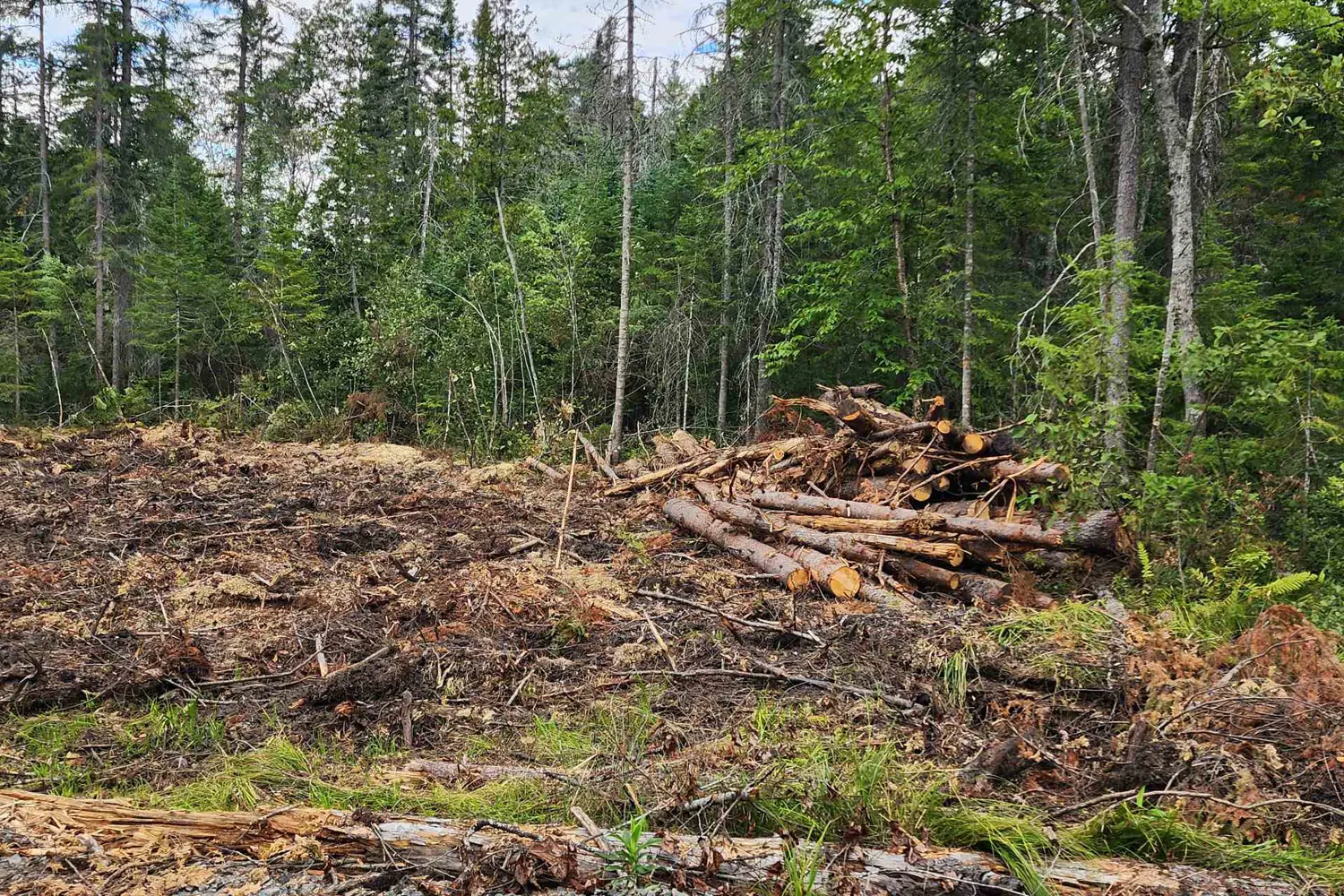 Additional image 2 of 1022 Thompson Road