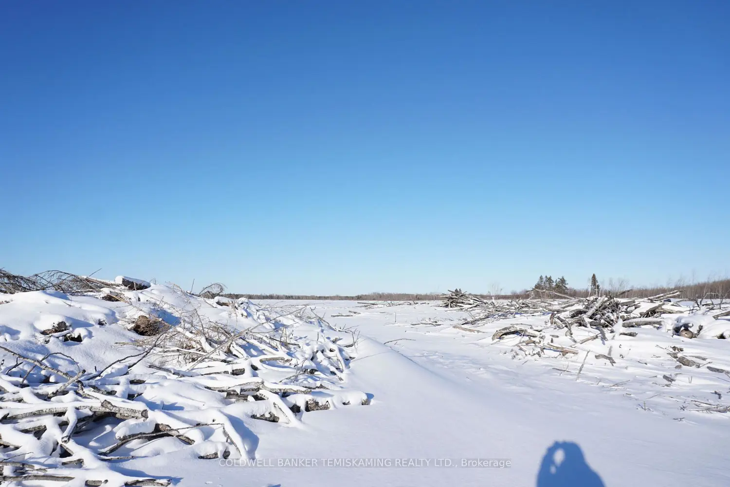 Additional image 6 of 208181 Cabin Road