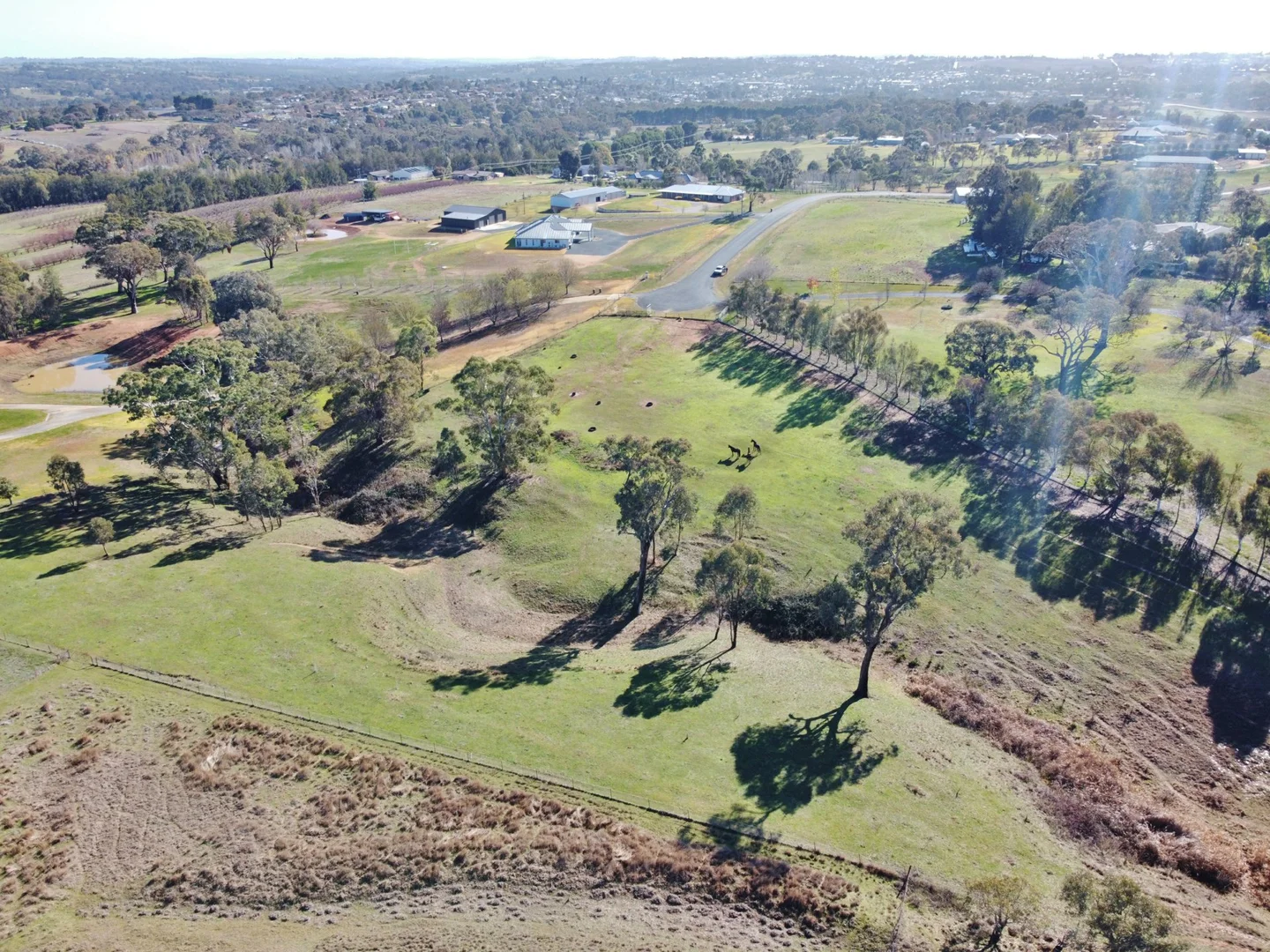 Additional image 10 of 77 Newton Road, Young NSW 2594